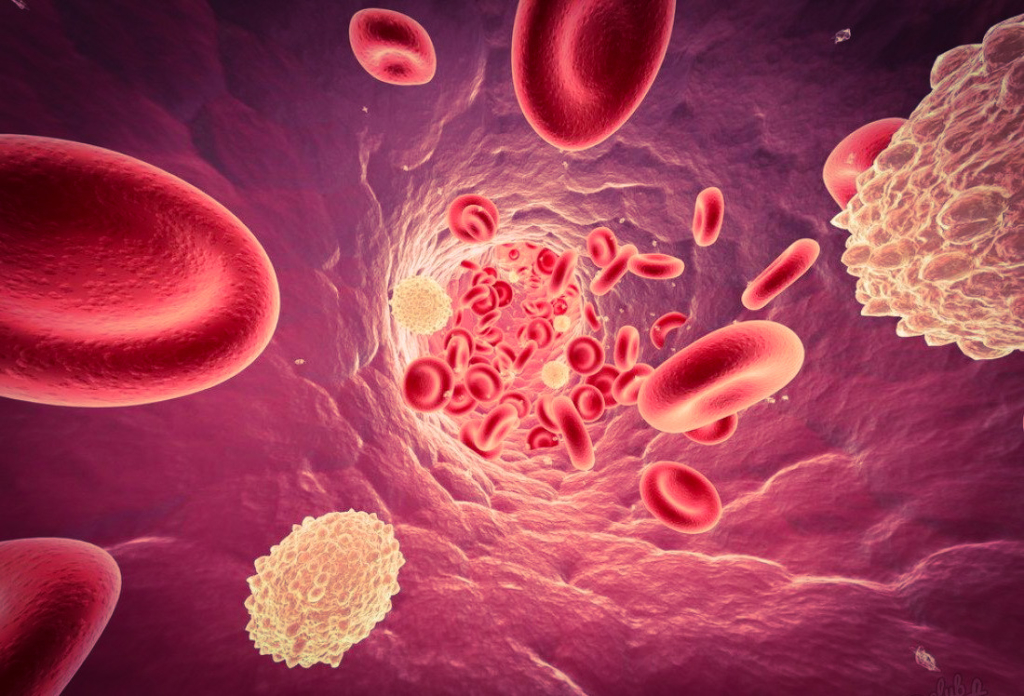 Почему лейкоциты в крови у ребенка понижены или повышены? Как нормализовать уровень?