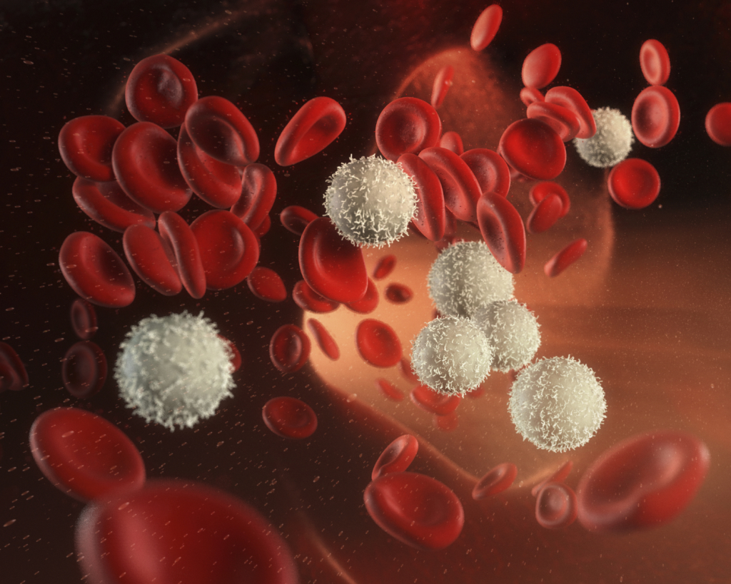 Лейкоциты у мужчин норма в крови и другие способы исследования