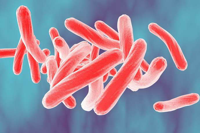 туберкулезный менингит причины