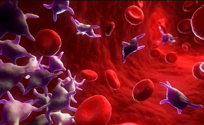 Как повысить тромбоциты в крови препараты, народные способы, продукты