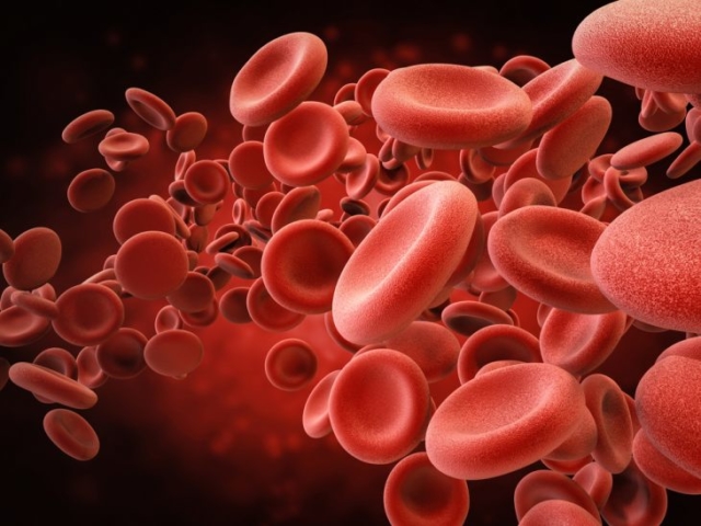 Что означает MID в анализе крови, каковы его нормы и что делать при отклонениях?