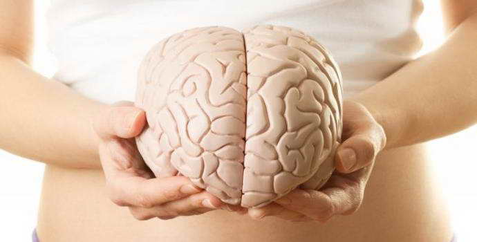 Гидроцефалия головного мозга у взрослого: причины, симптомы, лечение
