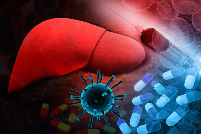 ВИЧ и гепатит: как правильно сдается анализ крови, натощак или нет? Нюансы процедуры
