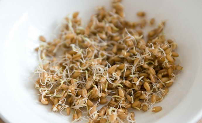 Ежедневный прием блюда из ростков проросшей пшеницы от рассеянного склероза