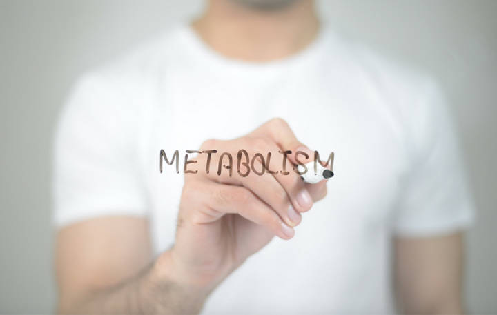 Метаболизм