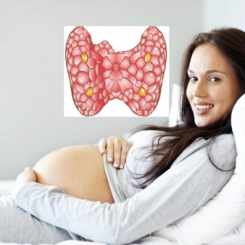 Щитовидная железа и беременность