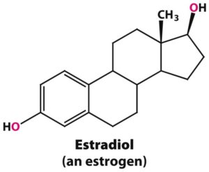 гормон эстрадиол