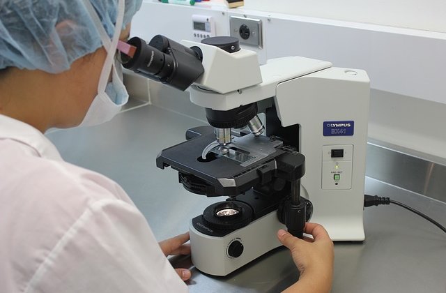 Лабораторные исследования микобактерий под микроскопом