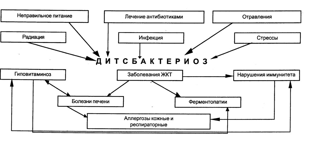 Схема развития дисбактериоза
