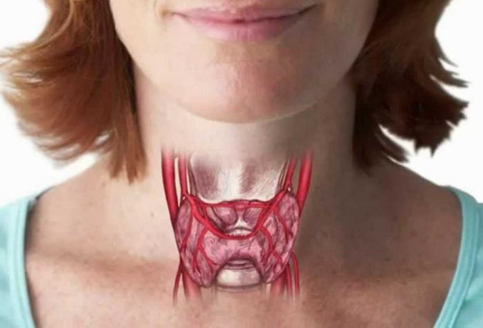 Тест здоровая щитовидная железа