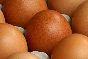 сильное отравление яйцами