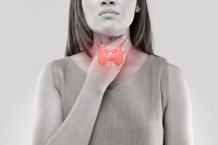щитовидная железа у женщин