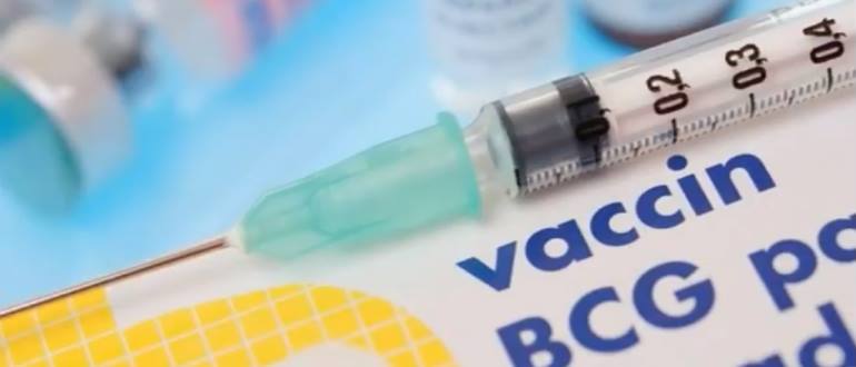 Противотуберкулезная вакцина БЦЖ