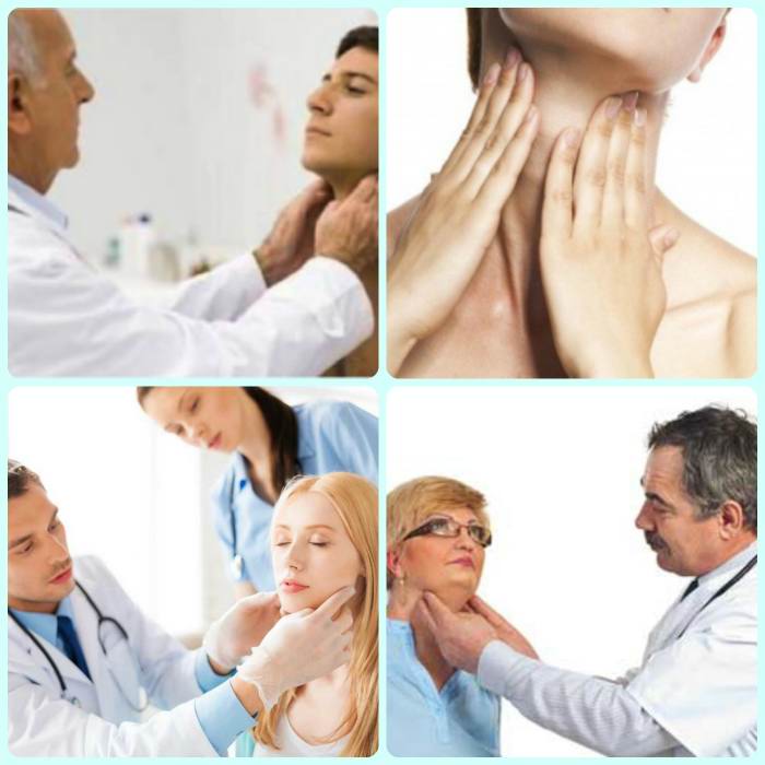 щитовидная железа в норме при пальпации